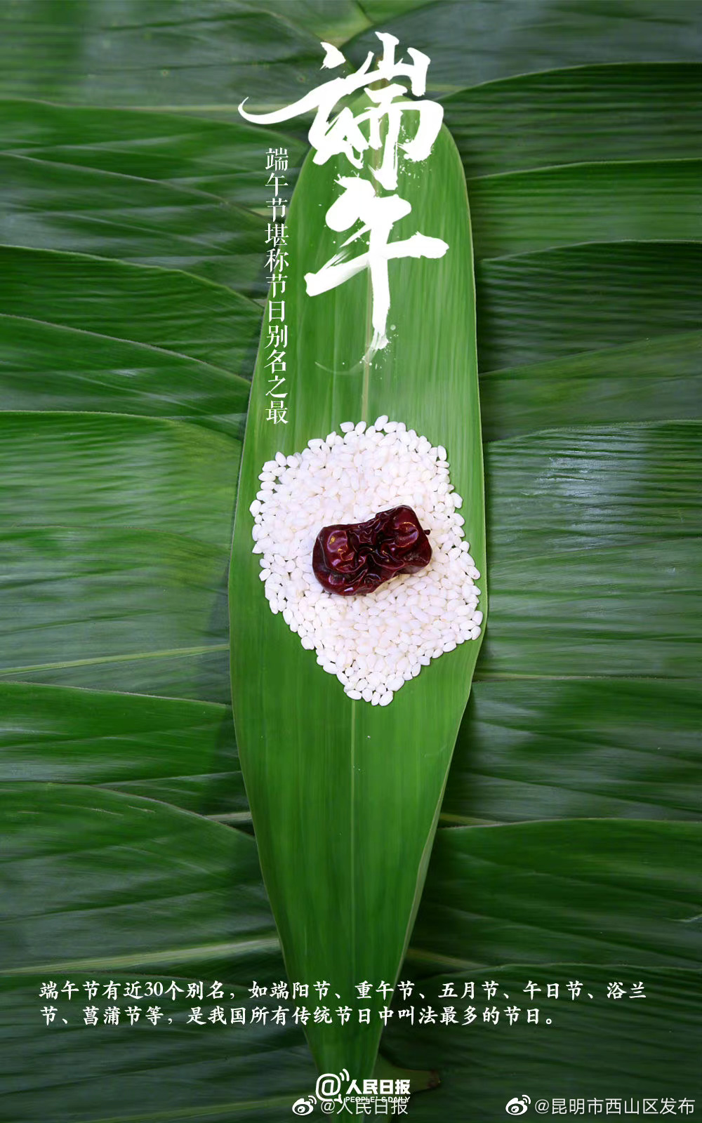 昆明市西山区发布