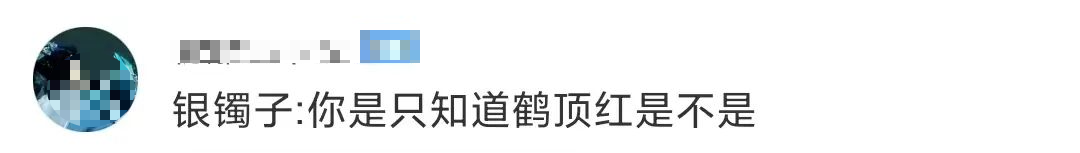 掌上春城