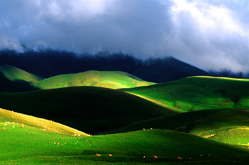 云南省文化和旅游厅