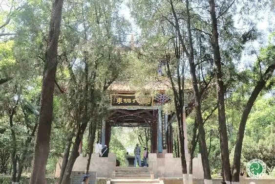 昆明动物园