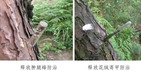 东川发布(微信)