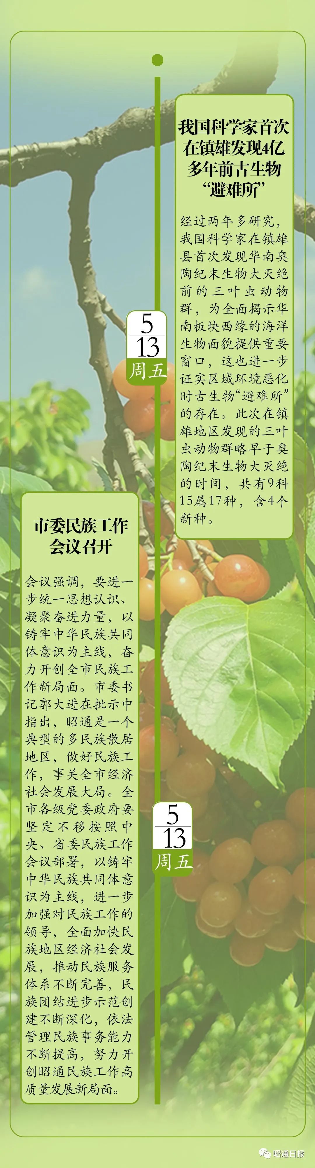 昭通日报