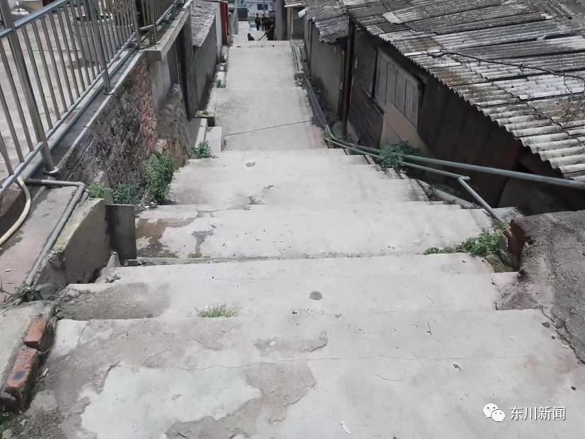 东川新闻