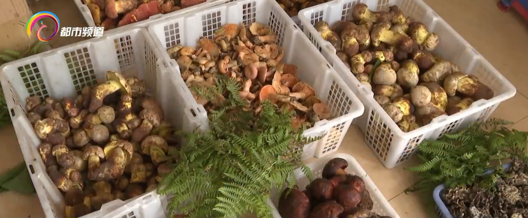 昆明信息港/cnkmxxg