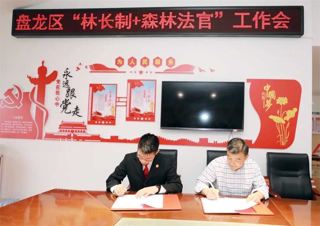 微观盘龙