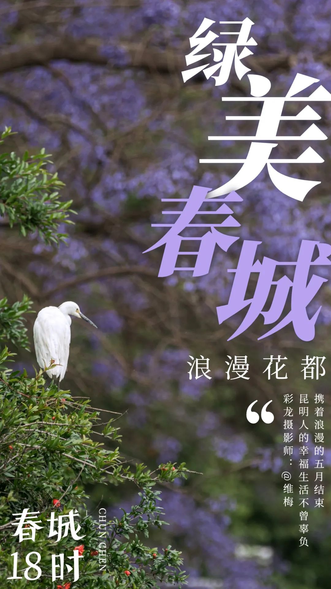 昆明信息港/cnkmxxg
