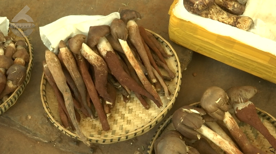 昆明信息港/cnkmxxg