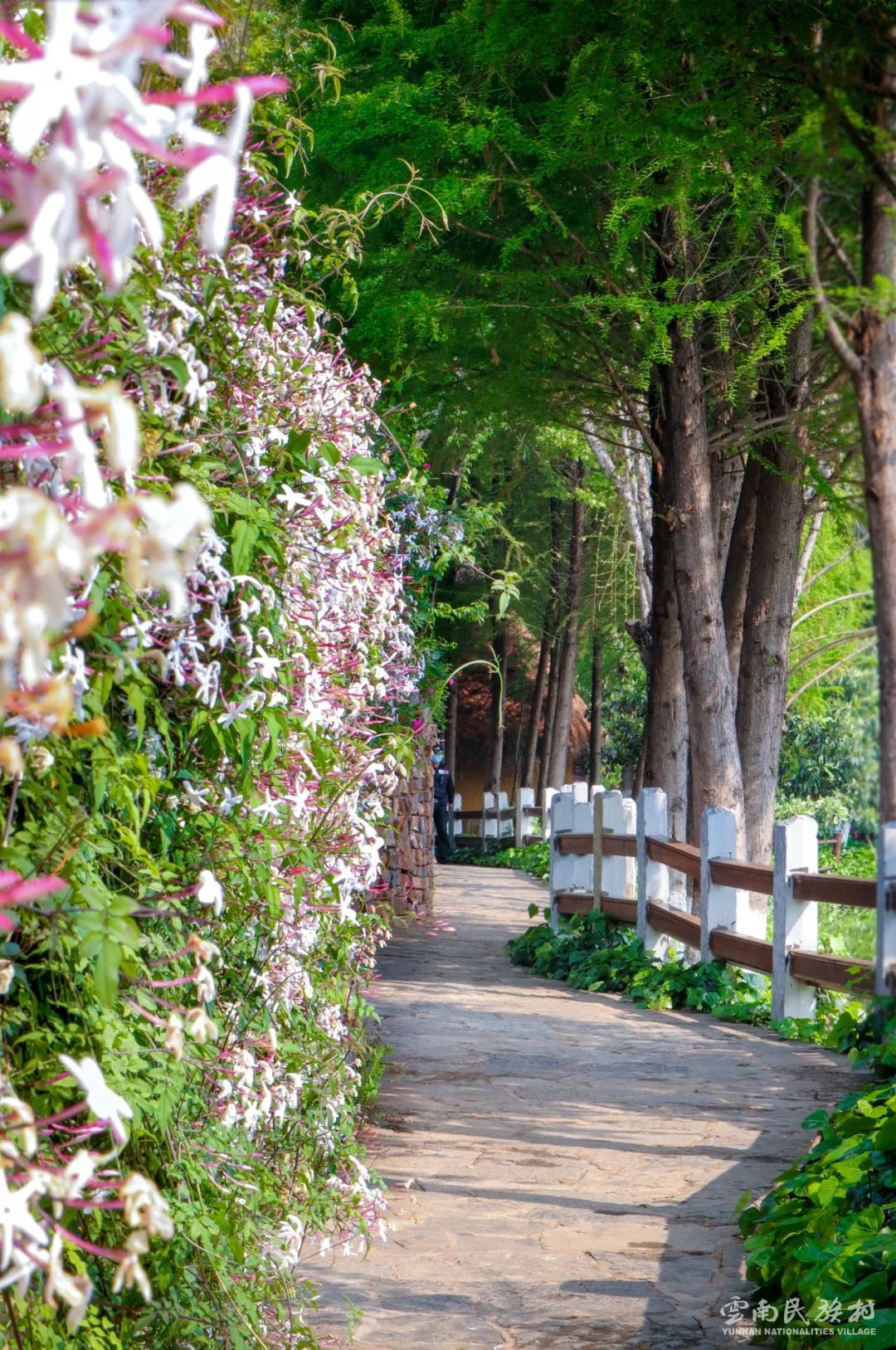云南民族村