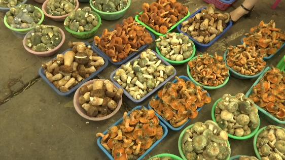 昆明信息港/cnkmxxg