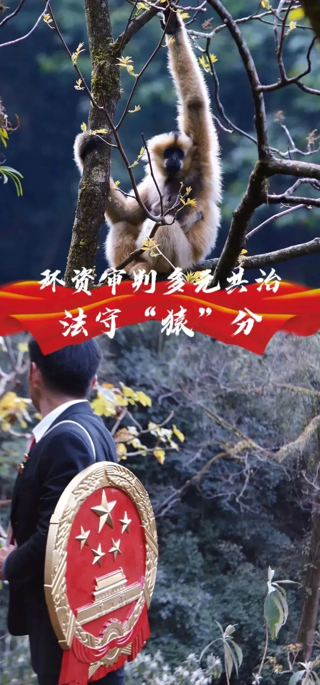 云南政法