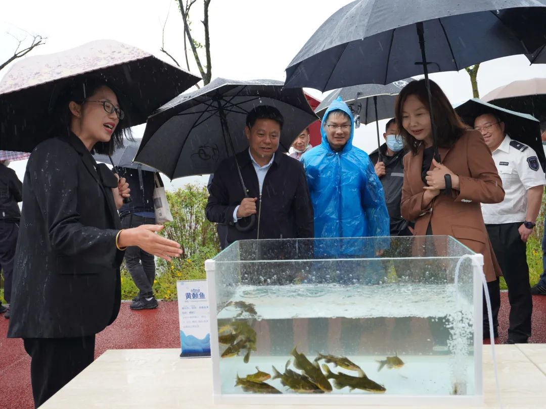 昆明阳宗海风景名胜区(微信)