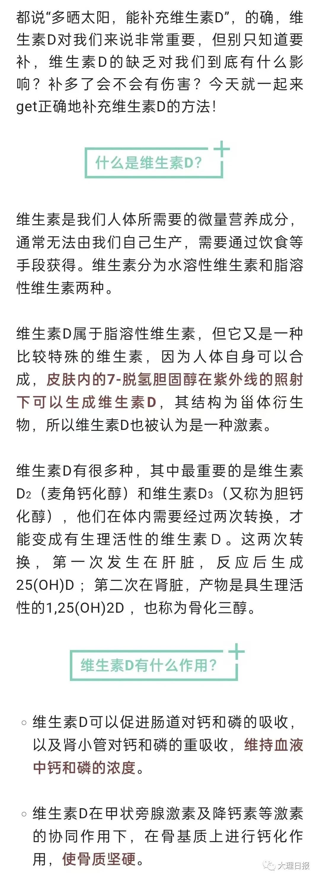 大理日报