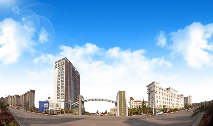大理日报