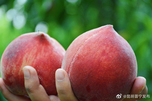 昆明晋宁发布