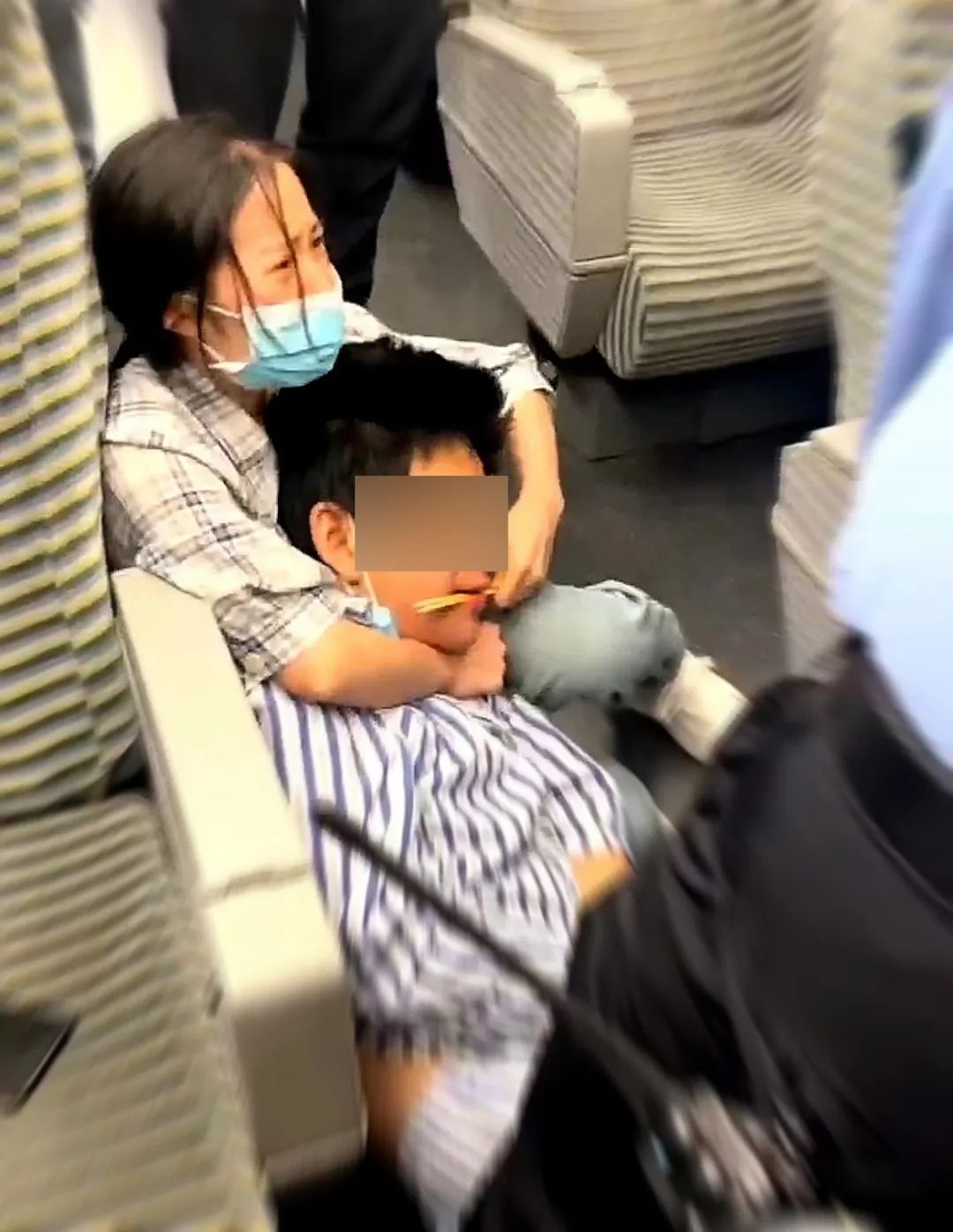 掌上春城