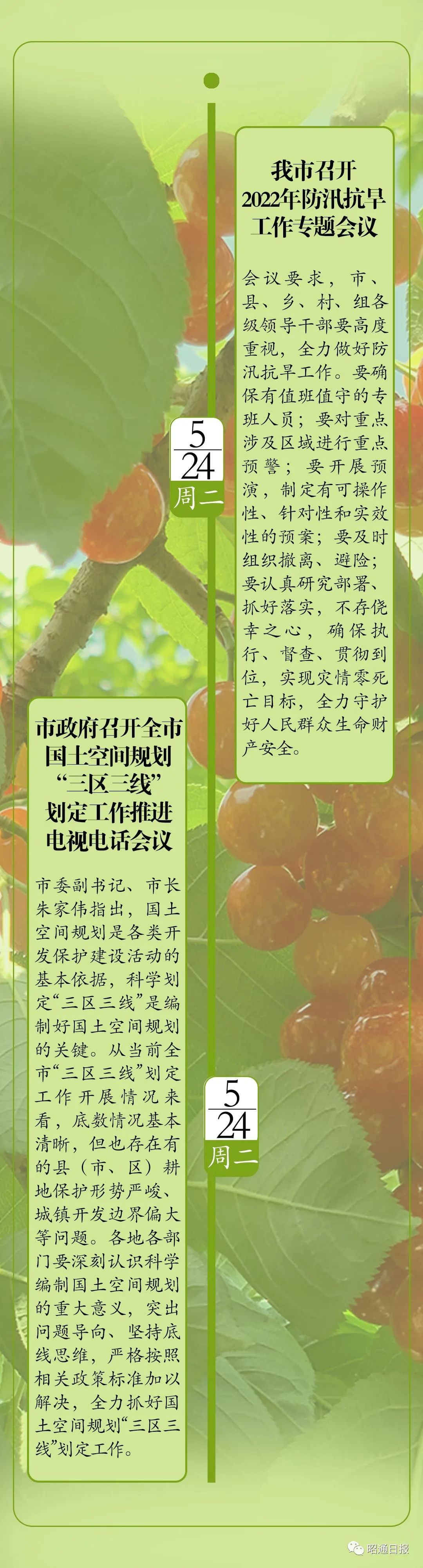 昭通日报