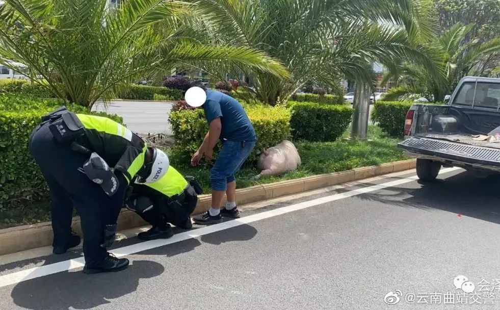 云南曲靖交警微博