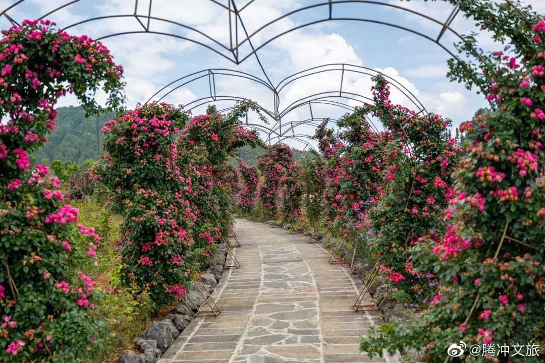 腾冲文旅微博