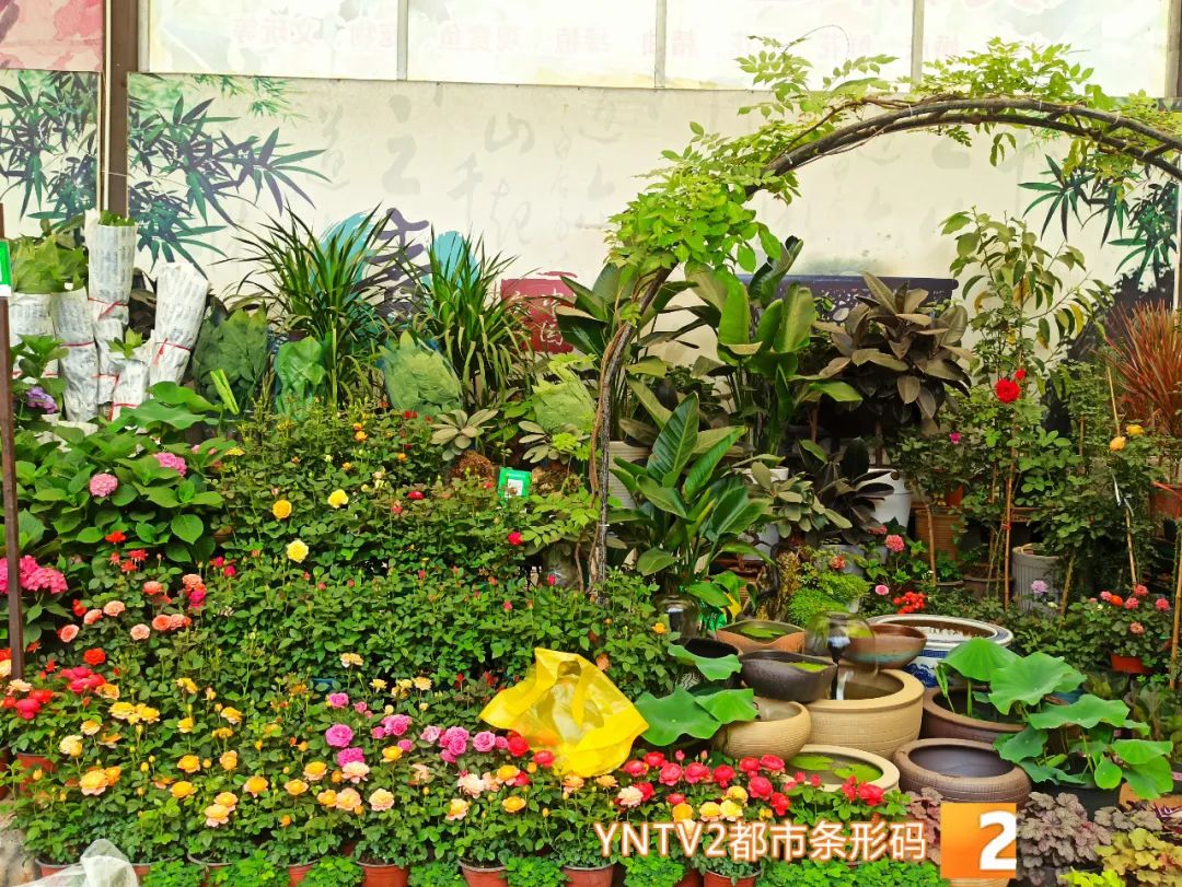 昆明信息港/cnkmxxg