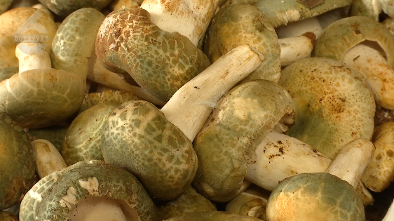 昆明信息港/cnkmxxg