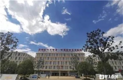 掌上春城