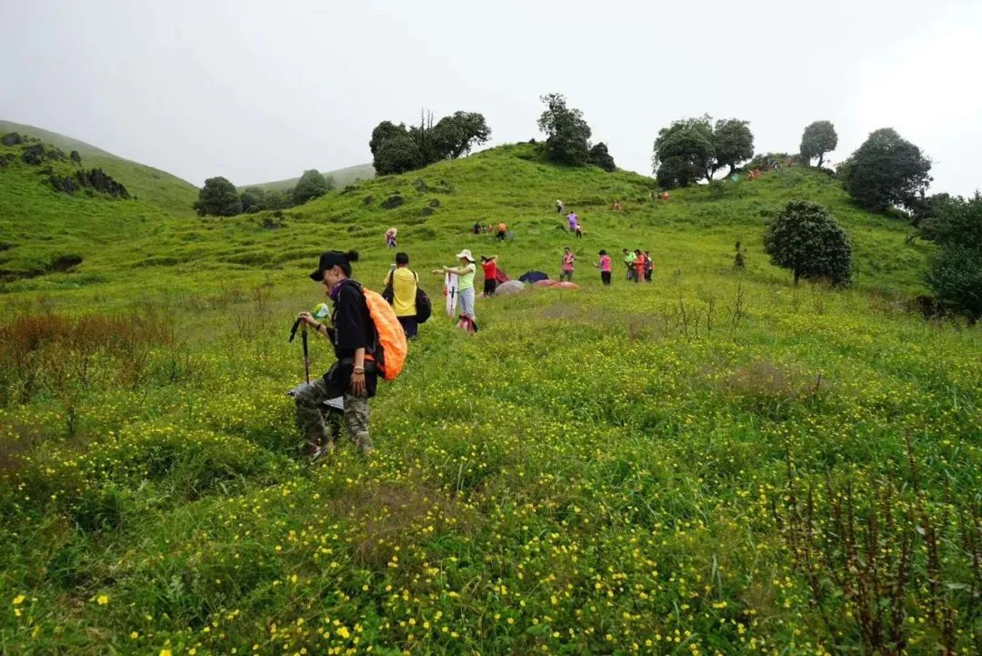 保山新闻网