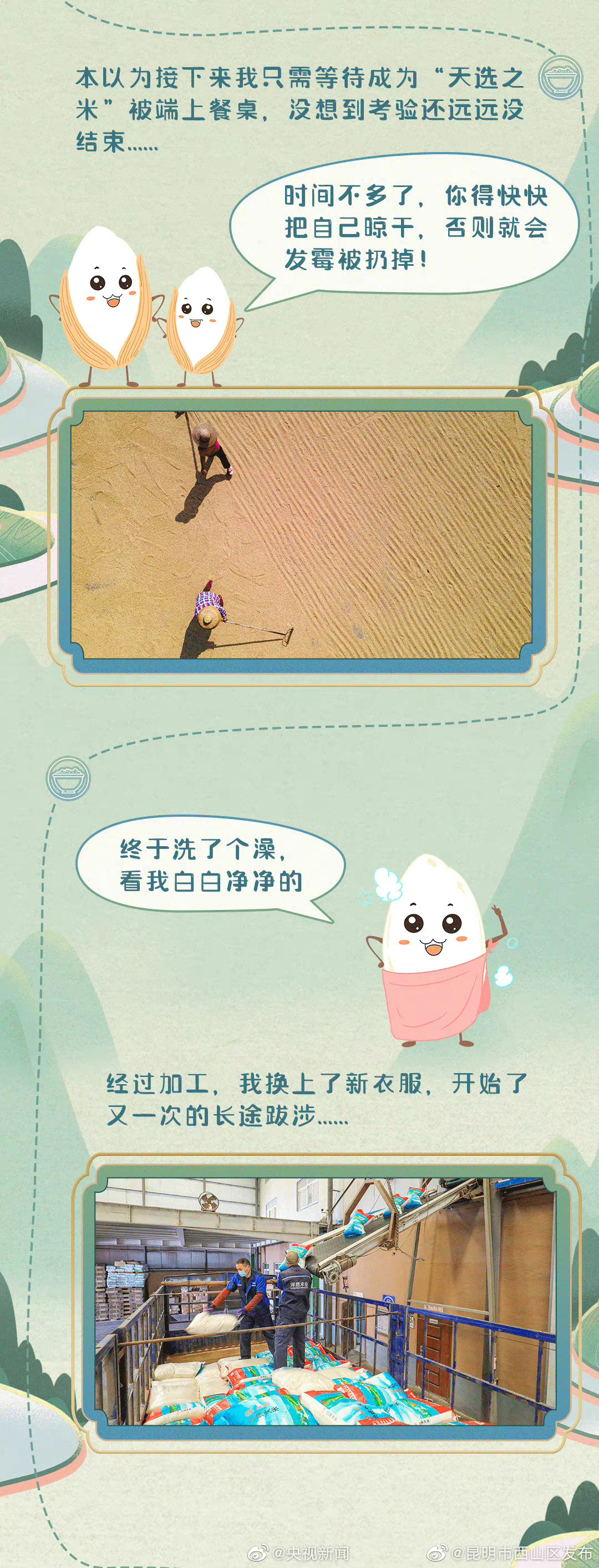 昆明市西山区发布