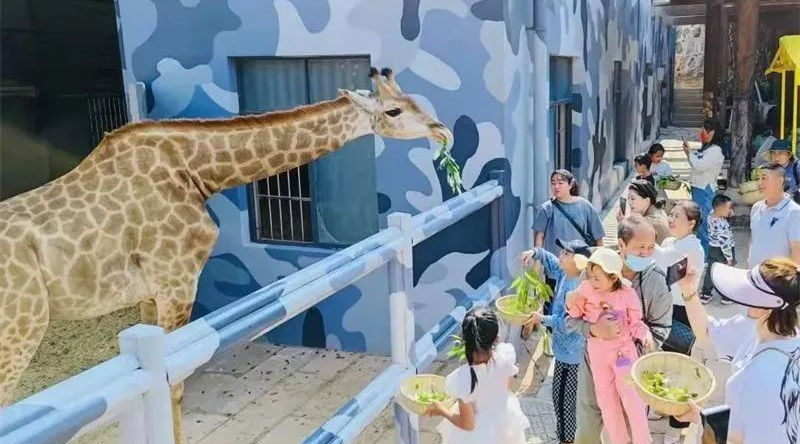 昆明文旅