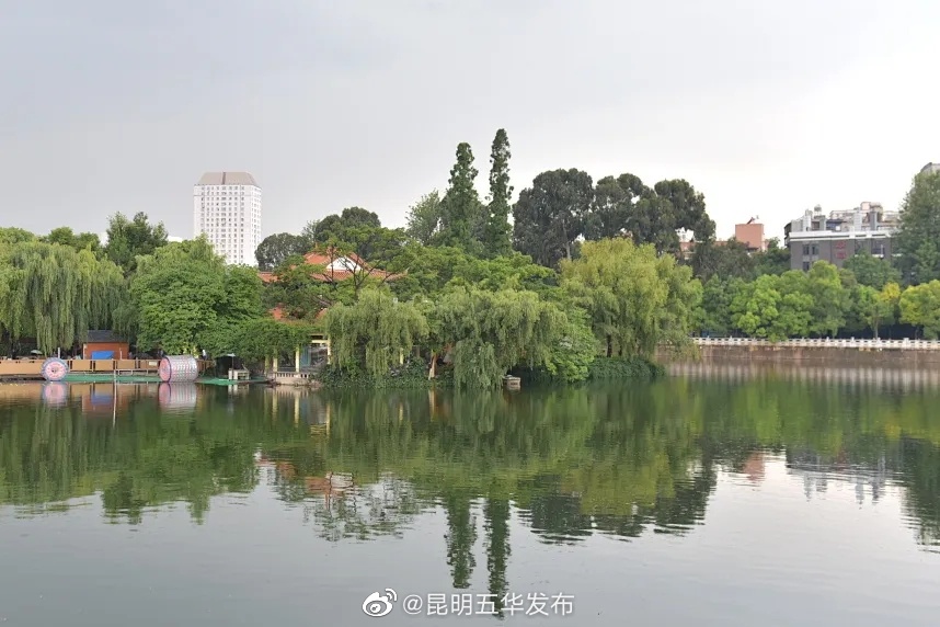 “昆明五华发布”微博