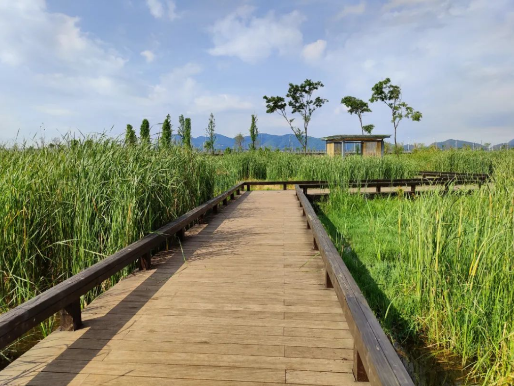 昆明文旅