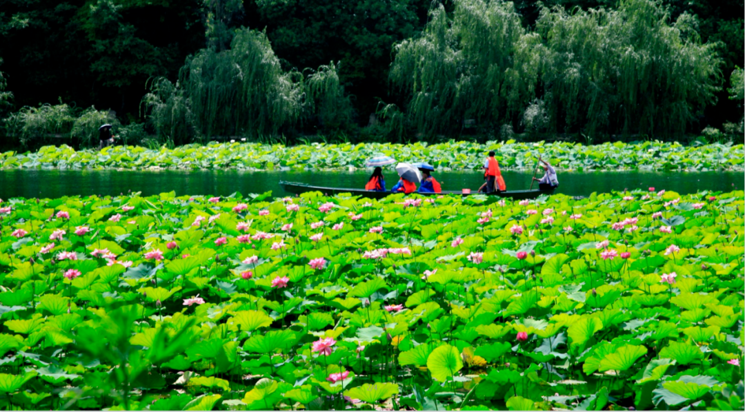云南省人民政府网