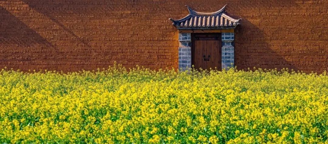 呈贡区文化和旅游局