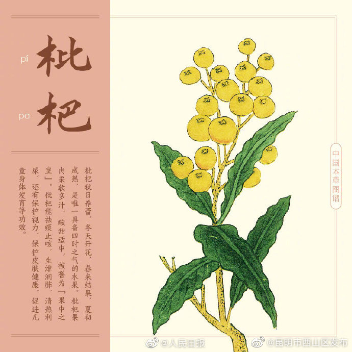 昆明市西山区发布