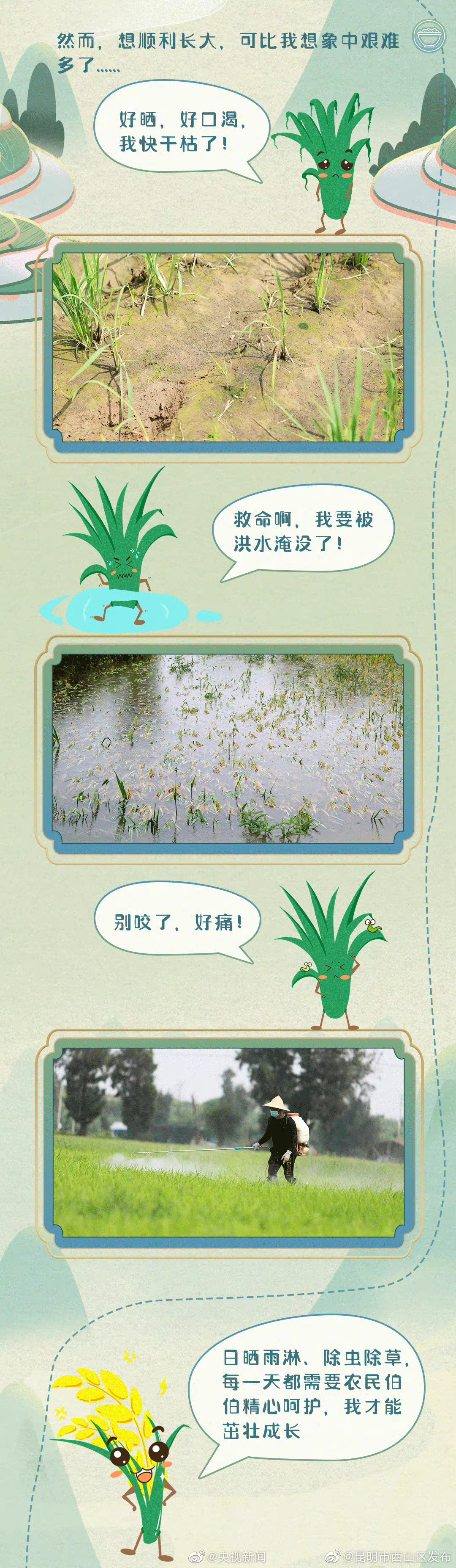 昆明市西山区发布