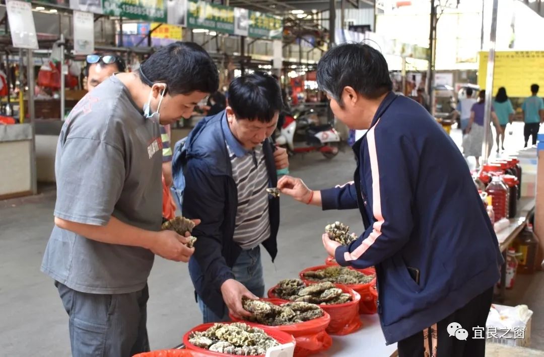 宜良之窗