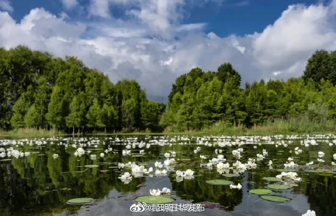 “昆明五华发布”微博