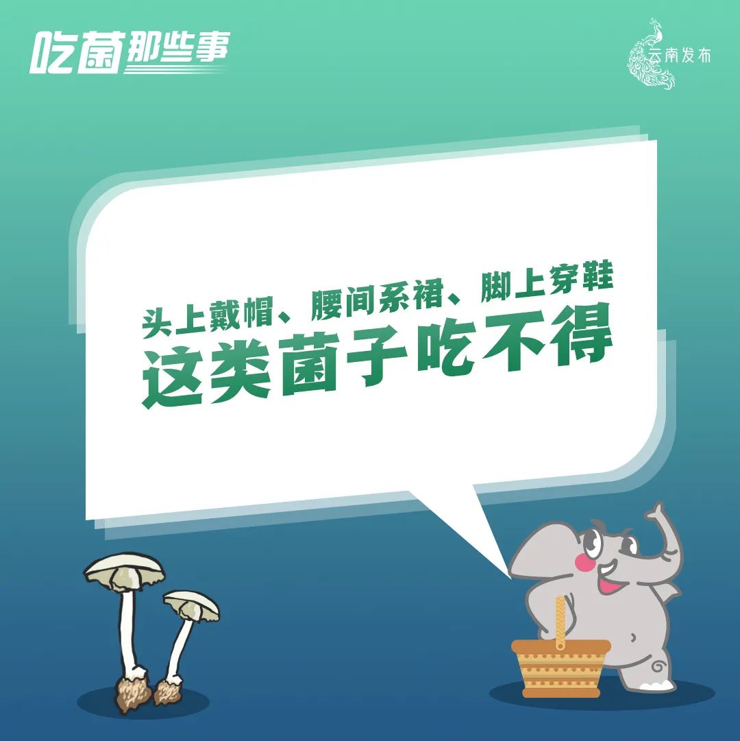 云南法制报