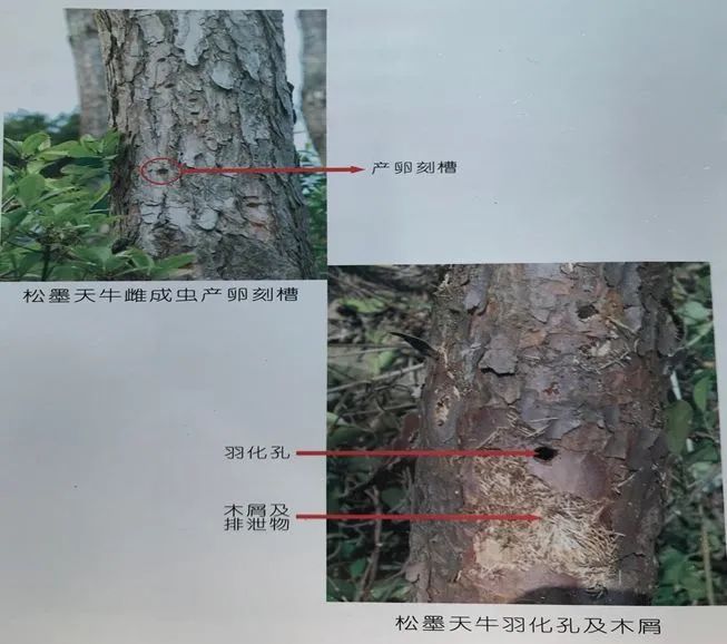 东川发布(微信)
