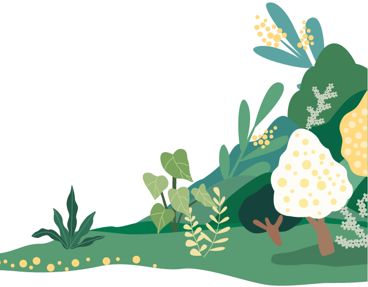 行走西山