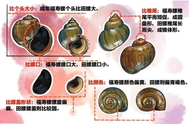 云南疾控