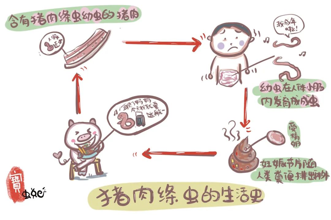 思茅区人民医院