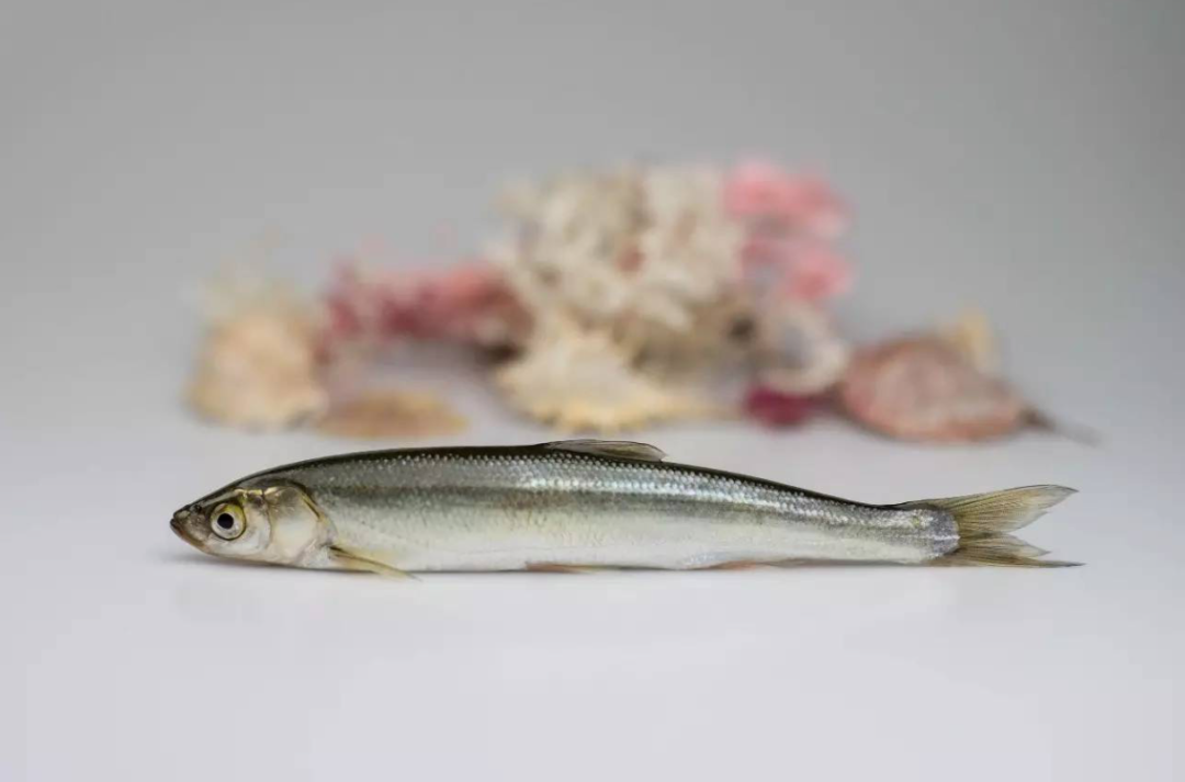 云南省文化和旅游厅