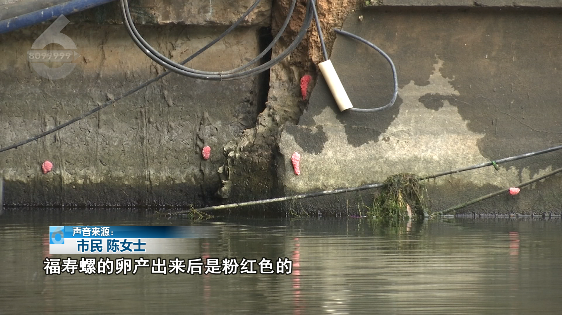 昆明信息港/cnkmxxg