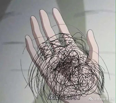 男女脱发表现不一样 