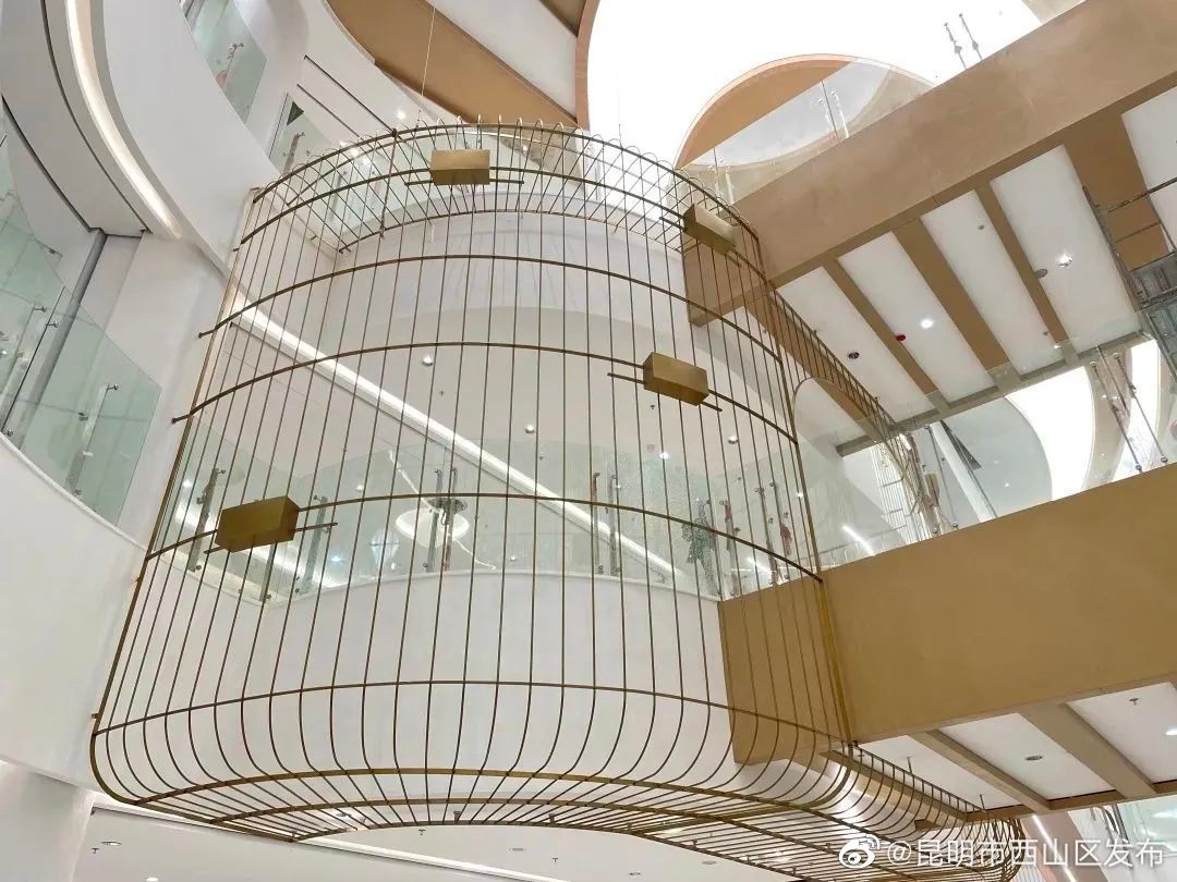 昆明市西山区发布