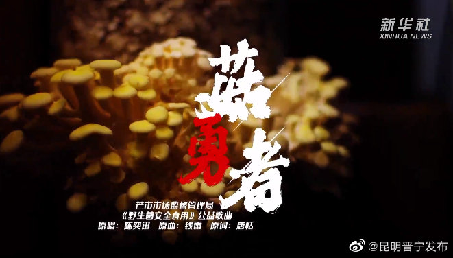 吃菌那些事云南野生菌版《菇勇者》来了！