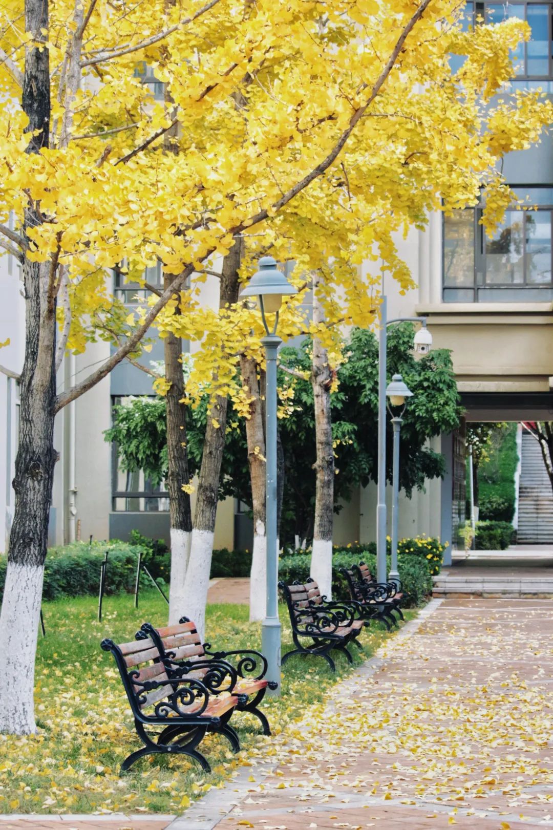 盘龙教育(微信)