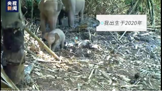 昆明信息港/cnkmxxg