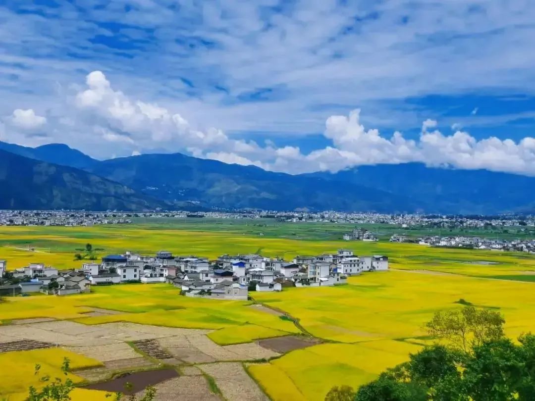 微丽江
