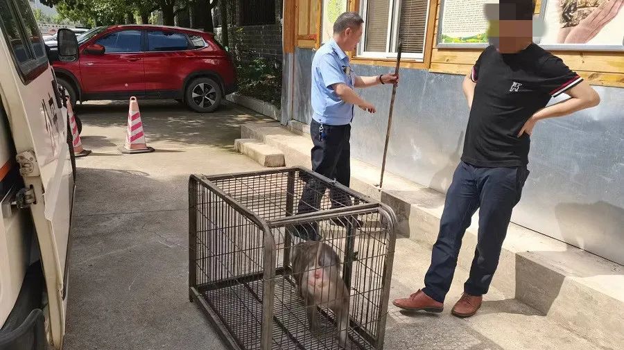爱上富民